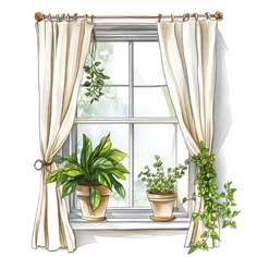 Curtains